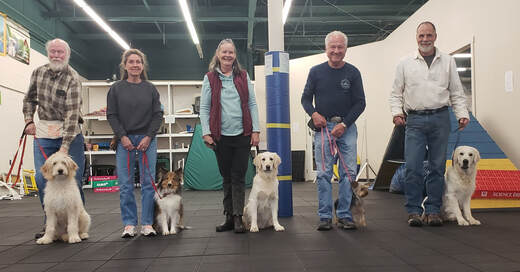 Durango dog trainer, Durango dog training, dog obedience in Durango