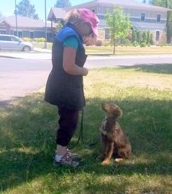 Dog training obedience, agility Durango and Bayfield Colorado