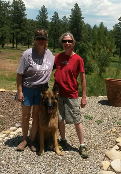 Dog training obedience, agility Durango and Bayfield Colorado